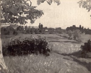 Cloître à Nagybánya
